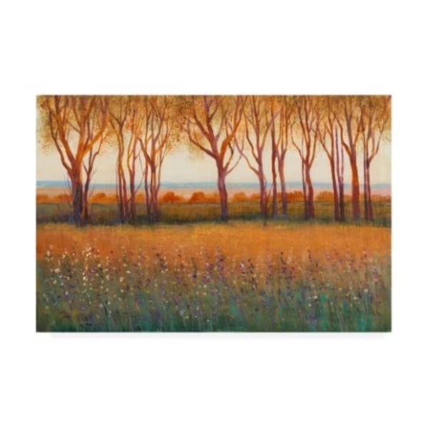 Tim O'Toole 'Glow In The Afternoon I' Canvas Art, 12x19, Trademark Fine Art, Mfr#: WAG13881-C1219GG